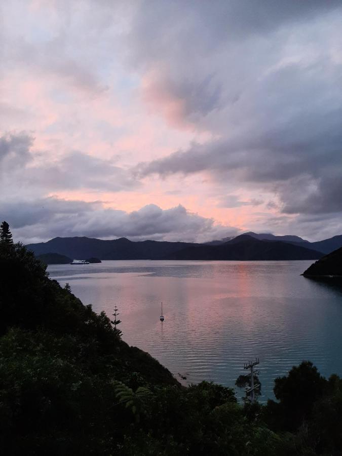 A Sea View B&B Picton Extérieur photo