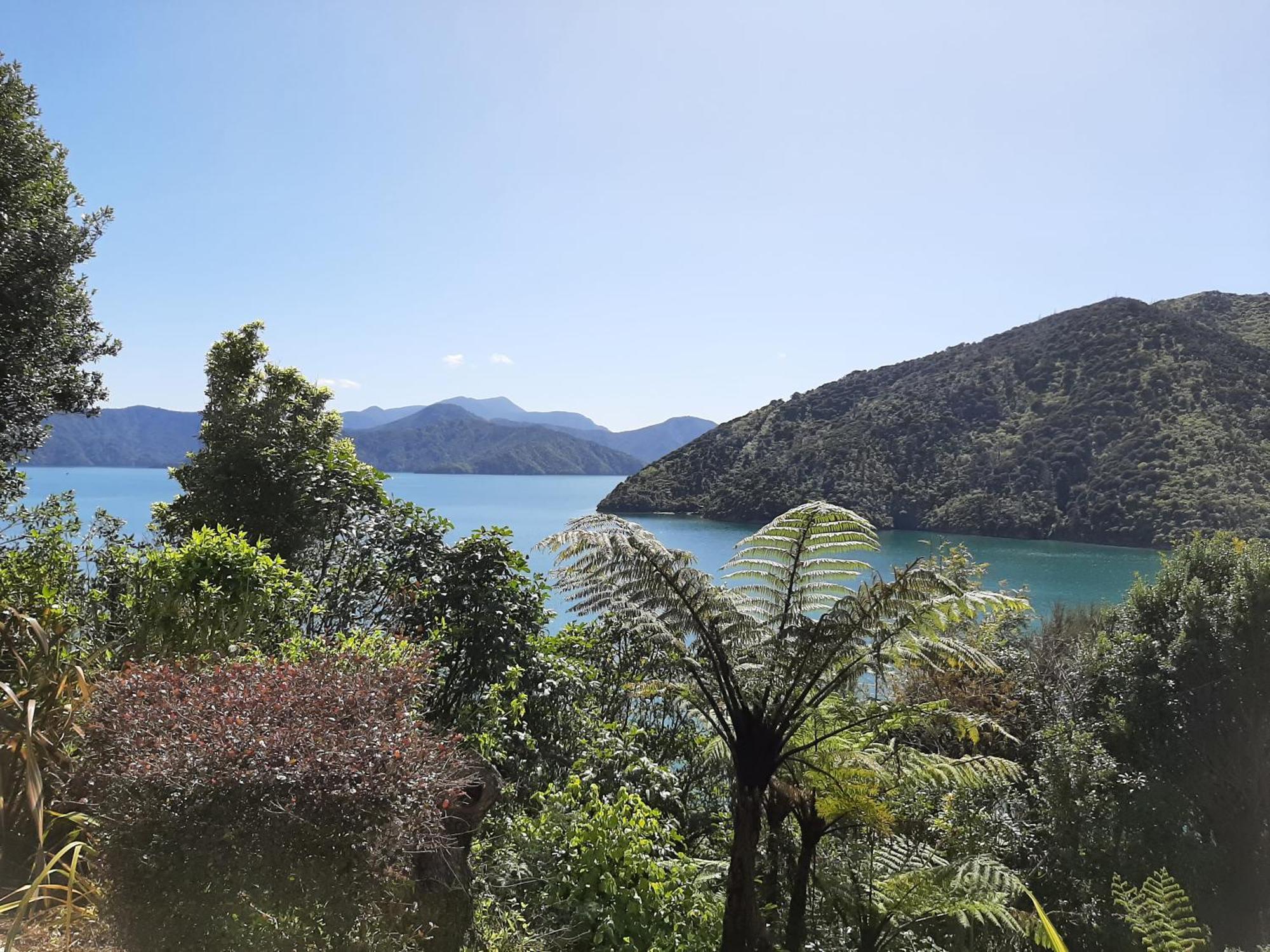 A Sea View B&B Picton Extérieur photo