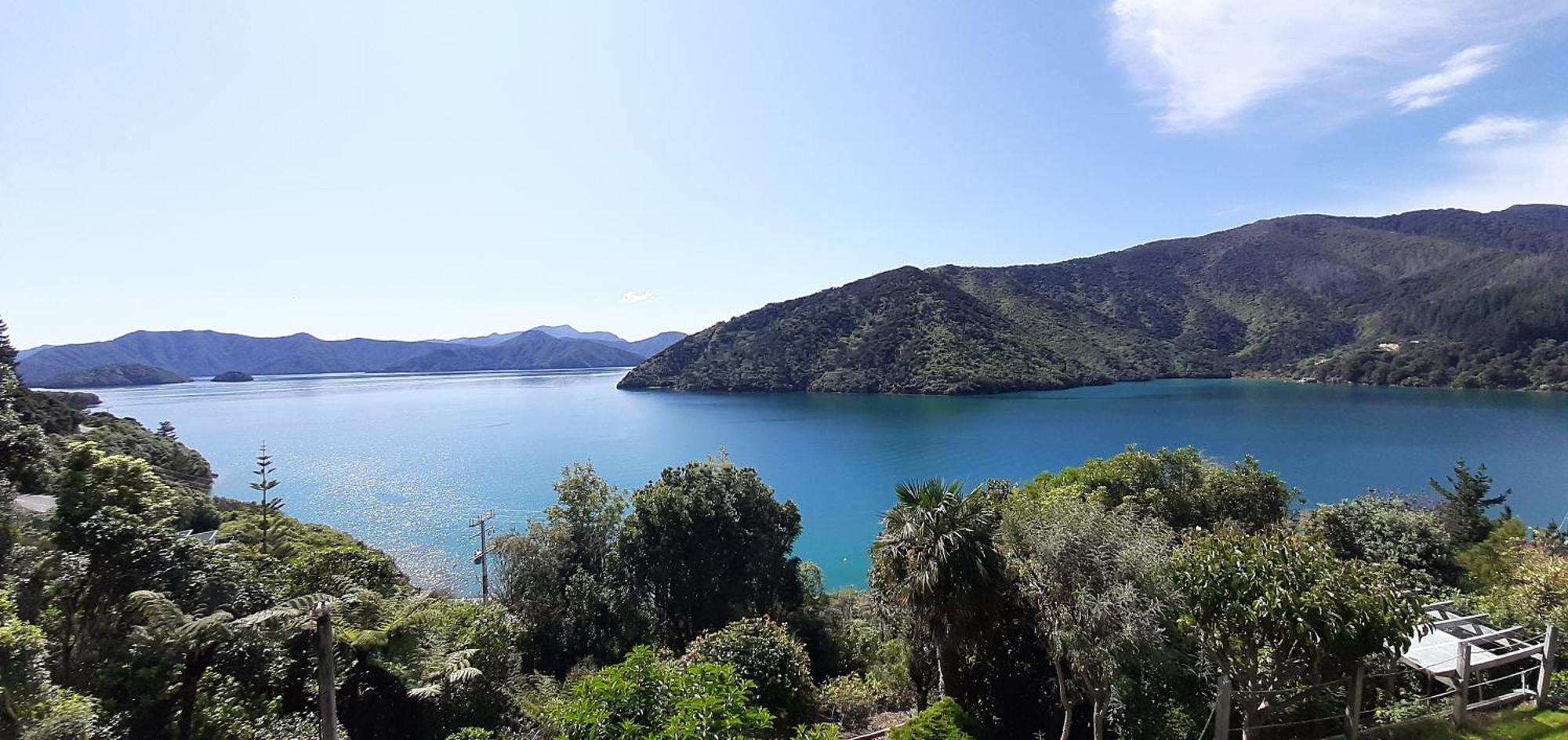 A Sea View B&B Picton Extérieur photo