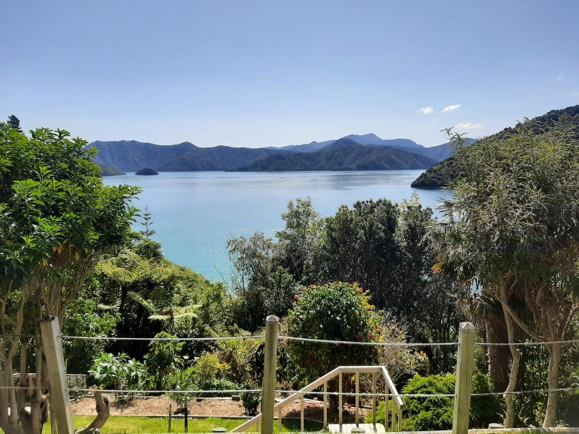 A Sea View B&B Picton Extérieur photo